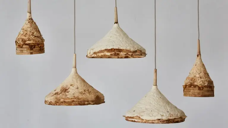 sustainable furniture - fungus lights