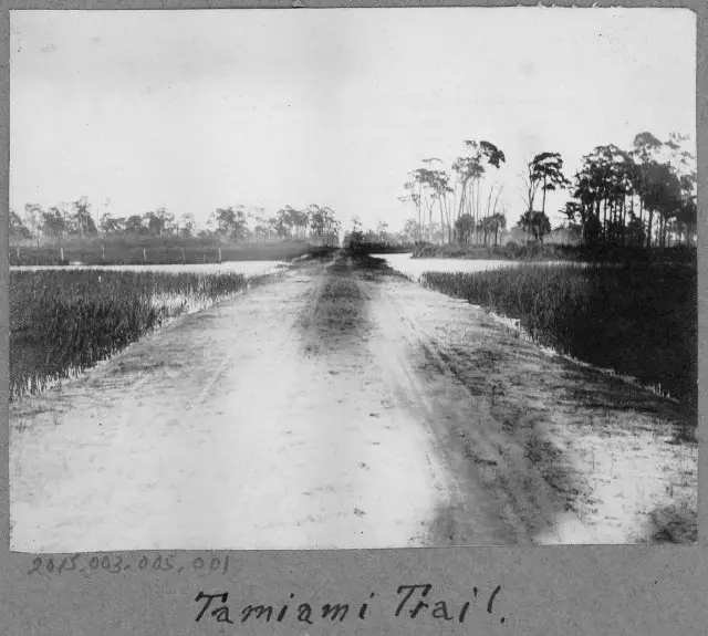 Tamiami Trail, FL